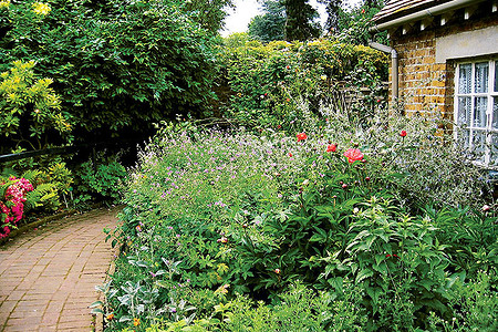 «Приручение» ручья...