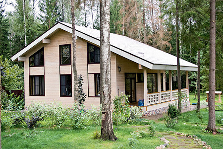 Три идеи — будет дом