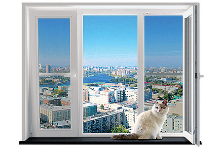 Ваша кошка не убежит: специальная оконная сетка