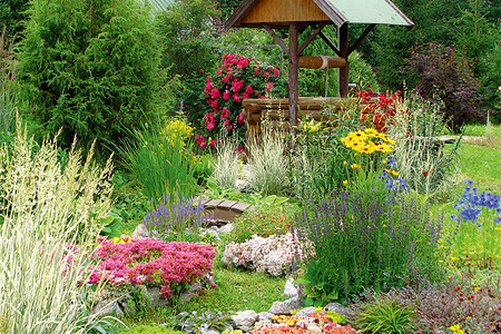 Садовые мелодии