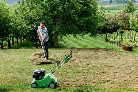 Уход за газоном: какую технику выбрать