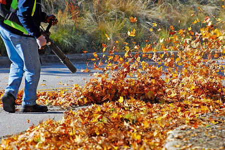Садовый пылесос или воздуходувка: как выбрать и не прогадать