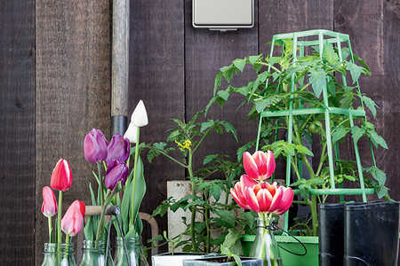 Садовое электричество