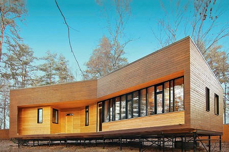 Свайный фундамент: варианты конструкции