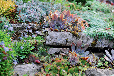 Как обыграть сложный рельеф на дачном участке: 4 ландшафтные идеи