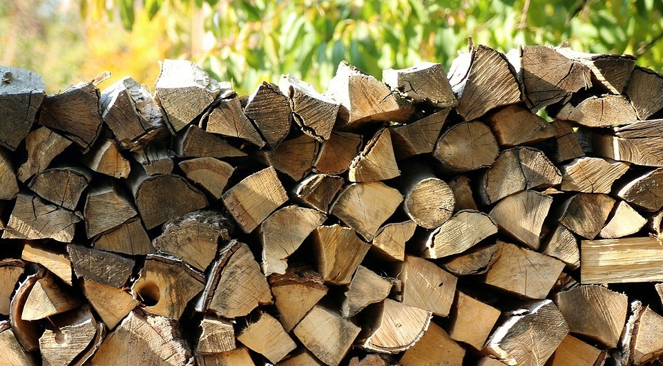  дров на зиму: сколько нужно, как заготавливать лес законно .