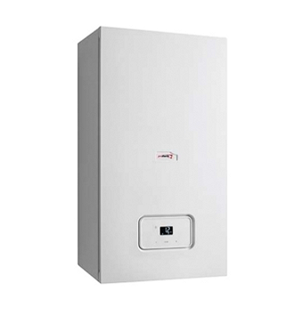 Газовый котел Protherm