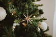 Что делать с елкой после праздников: 4 практичных идеи