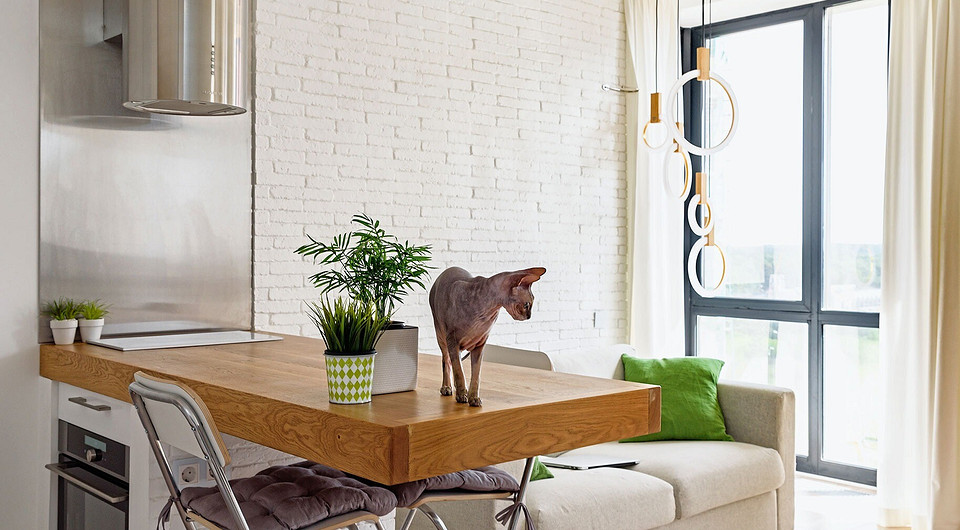 Клеёную столешницу полубарного стола надёжно прикрепили к опоре с по­мощью швеллера. Полубарная высота (1 м)делает её удобной и для приготовления пищи