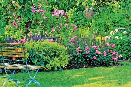 5 свежих идей для оформления лужайки на даче