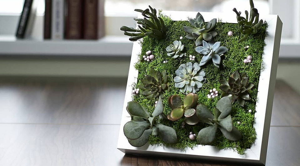 Как жить в экостиле: 10 полезных бытовых привычек