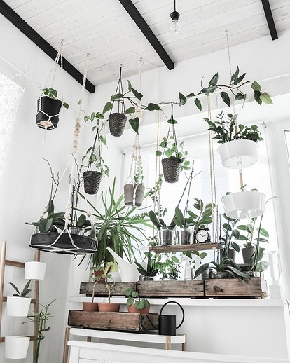 10 мест в квартире, куда лучше не ставить растения