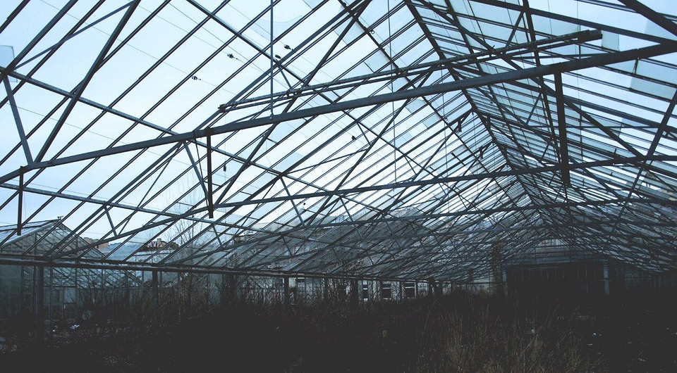 Заброшенные оранжереи Таврического сада