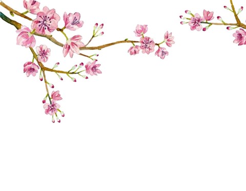 Настенный стикер с нарисованной вручную веткой цветущей сакуры (6 000 руб.).