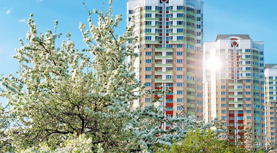 Что такое альтернативная сделка: рассказывает эксперт по недвижимости