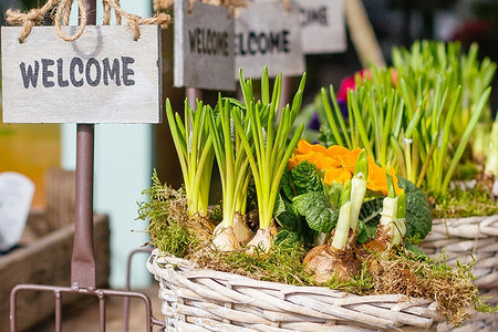 10 простых и эффектных идей для украшения дачного участка