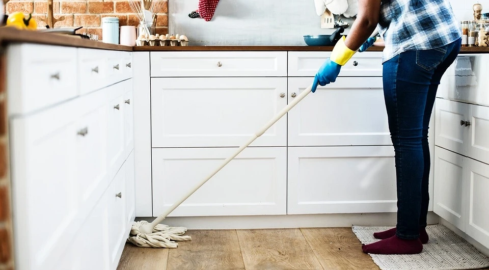 Как избавиться от мошек дома: 5 эффективных способов