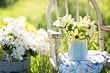 7 полезных растений для дачи, которые вы сможете использовать на кухне и в домашней аптечке