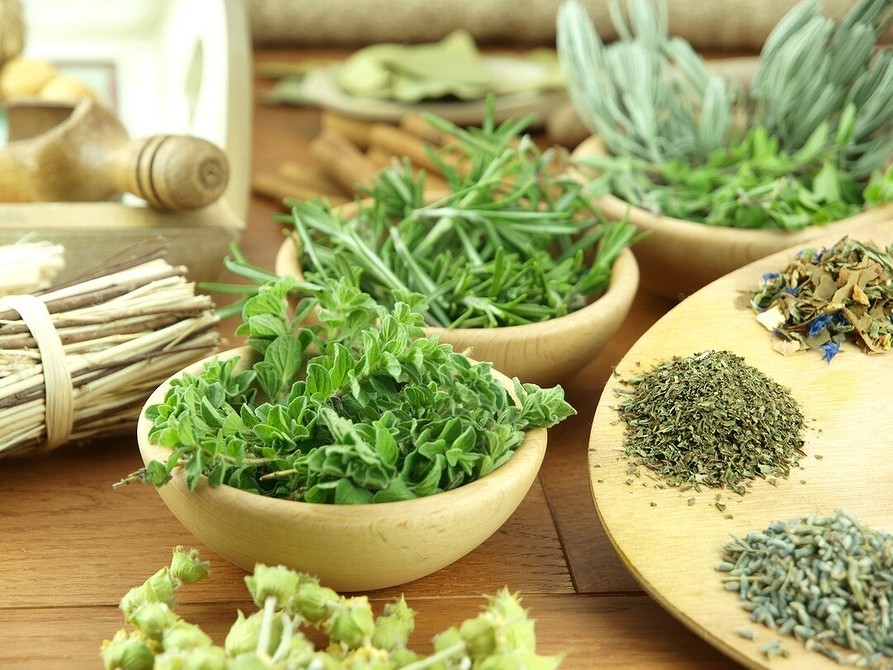 8 полезных растений для дачи, которые вы сможете использовать на кухне и в домашней аптечке
