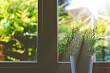 Как приклеить солнцезащитную пленку на окно: пошаговая инструкция