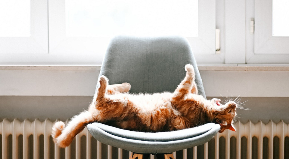 Когда заработают батареи? В Москве открыли горячую линию по вопросам отопления