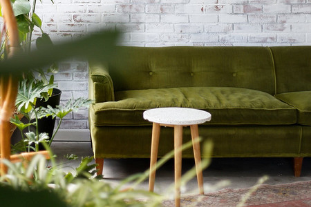 Обустраиваем зимний сад в квартире в 3 шага