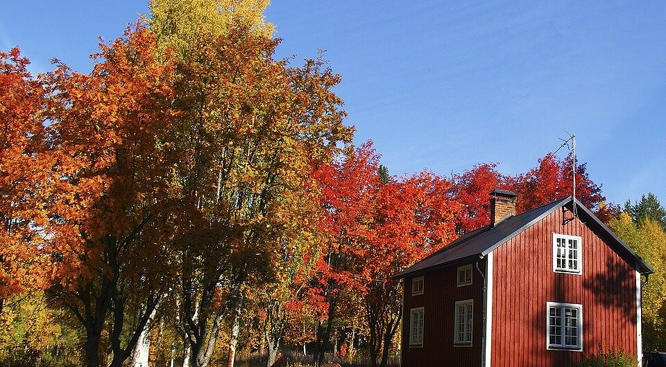9 неочевидных дел на дачном участке, которые помогут подготовиться к зиме