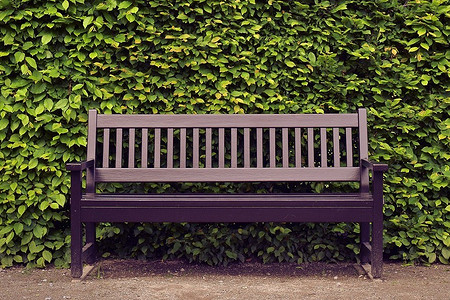 Делаем садовую скамейку со спинкой своими руками: инструкция без сложных чертежей