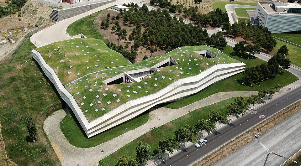 Здание с зеленой крышей: как выглядит необычная кофейная фабрика в Грузии