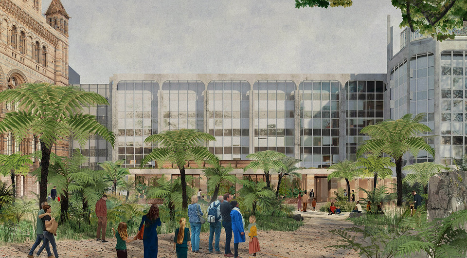 Викторианская оранжерея и динозавр Диппи: что появится рядом с Музеем естествознания в Лондоне
