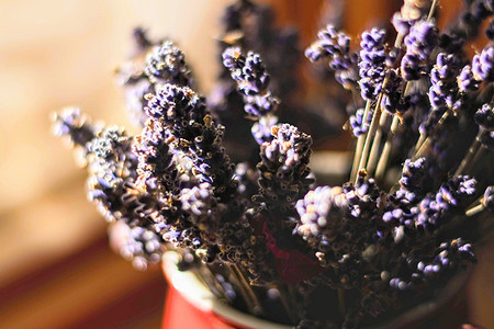 6 растений с приятным ароматом, которые можно посадить дома