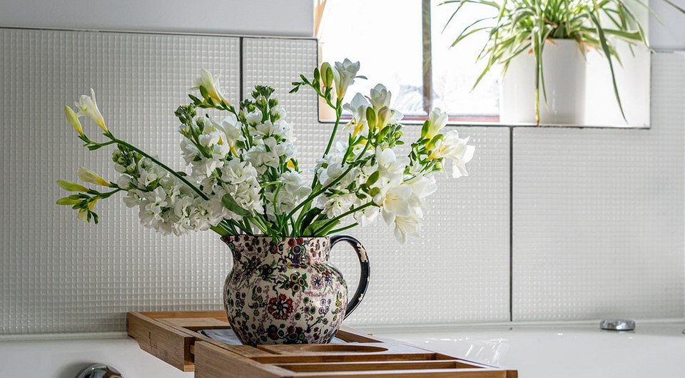 9 полезных лайфхаков по уходу за домашними растениями, которые точно стоит попробовать