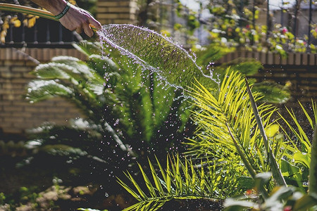 5 советов по работам на участке для ленивых садоводов