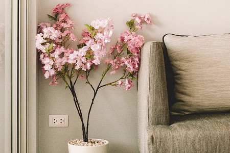 Сад у вас дома: 9 лучших цветущих комнатных растений с названиями и фото