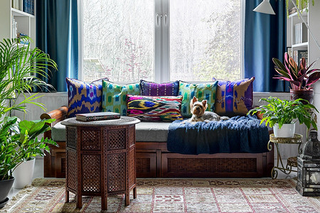 6 причин поселить в доме комнатные растения прямо сейчас (если вы все еще сомневаетесь)