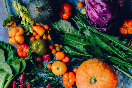 Как правильно хранить первый урожай: 14 важных моментов