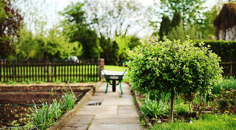 Функциональные 2 сотки земли на даче: даем идеи обустройства в новом видео в «Одноклассниках»