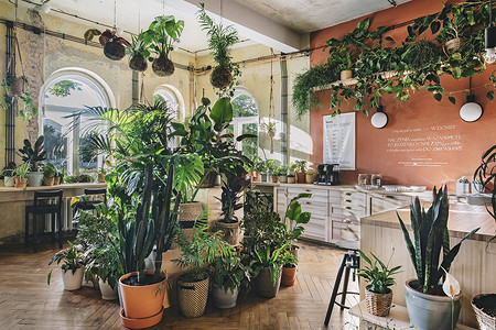 ИКЕА создала в Польше «дом будущего»: как он выглядит?