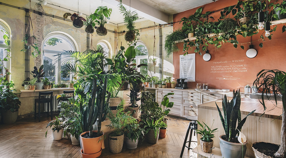 ИКЕА создала в Польше «дом будущего»: как он выглядит?