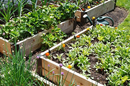 Пошаговое изготовление теплых грядок своими руками: обзор 3-х вариантов