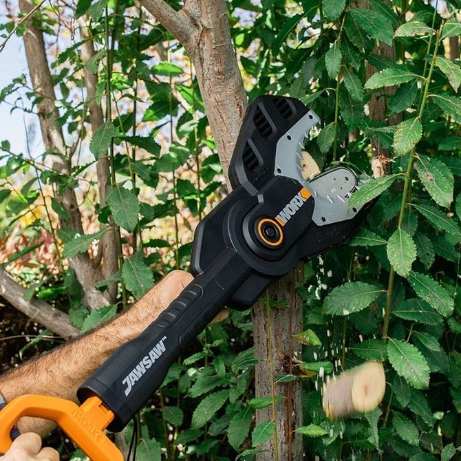 Как правильно обрезать дерево: когда и как проводить