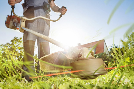 Какая мотокоса лучше: 7 критериев выбора и мини-рейтинг лучших моделей