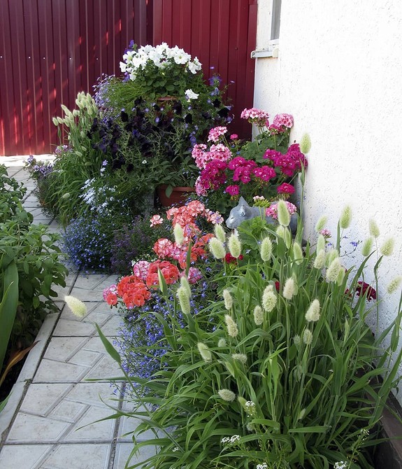 5 способов оформить сад цветами в контейнерах (во-первых, это просто)