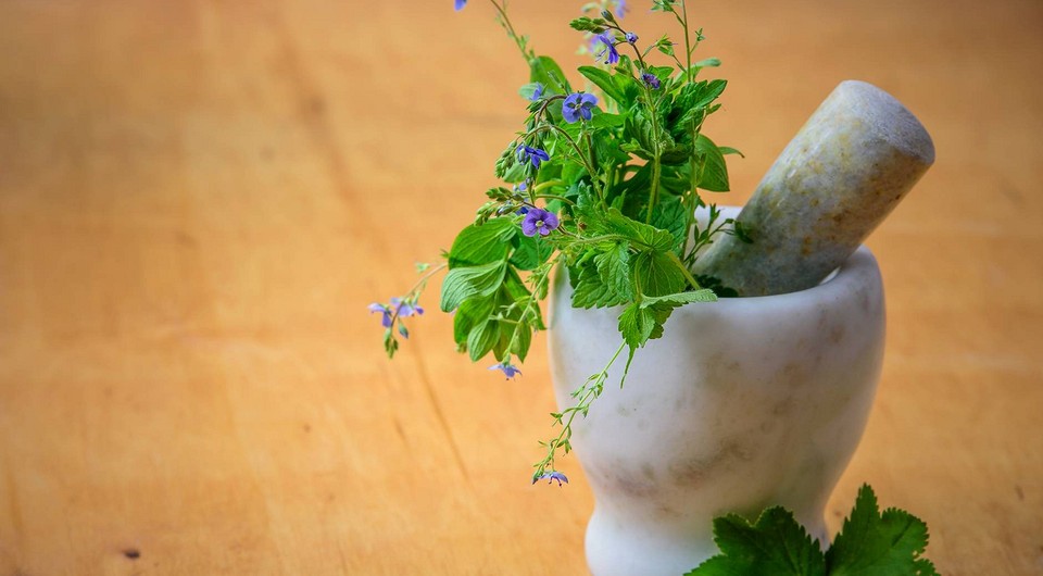 8 лекарственных растений в вашем саду, которые стоит засушить (и сэкономить на аптечке)