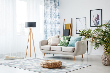 8 деревьев, которые можно вырастить дома, на балконе или террасе