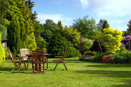 7 болезней придомового газона (и как спасти лужайку минимальными усилиями)