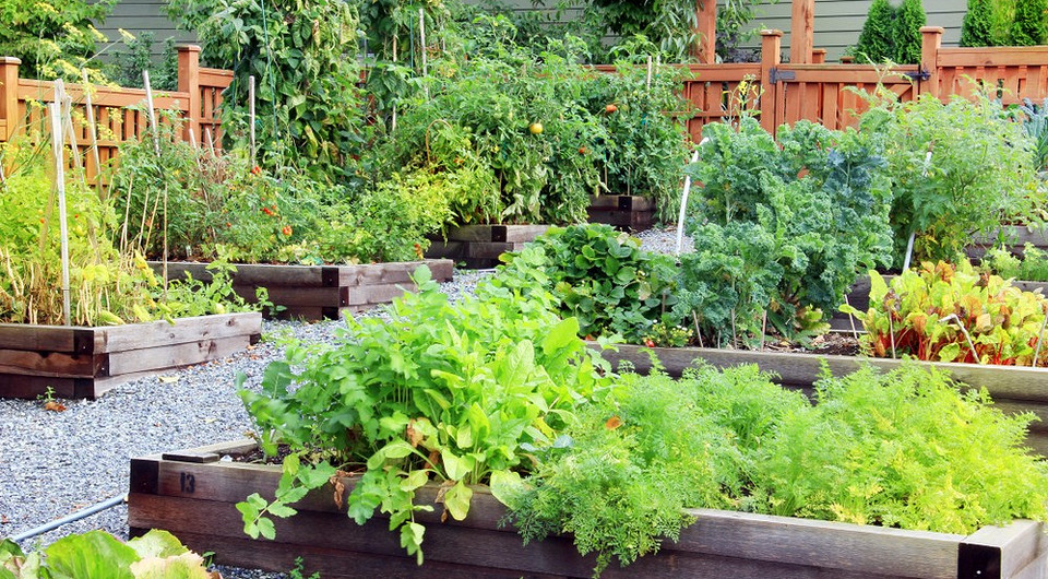 Как спланировать сад на следующий год (вам нужно подумать об этом уже сейчас!)