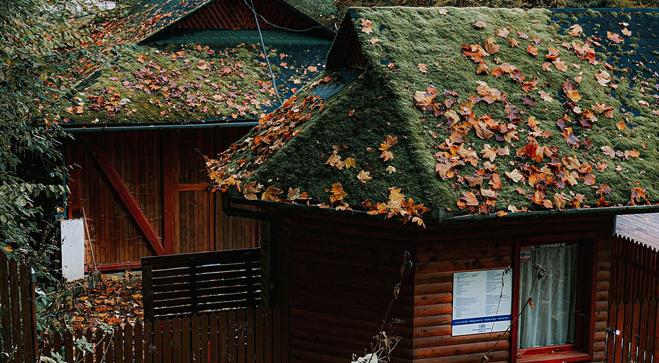 Из города в деревню: россияне рассказали, почему они хотели бы переехать в сельскую местность