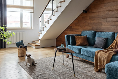 Элементы сканди, лофта и мебель ИКЕА: двухуровневая квартира в Сестрорецке