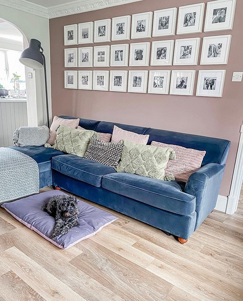 Стена за синим велюровым диваном пыльно-розовая — сбалансированное цветовое сочетание, которое красиво дополняется черно-белыми фотографиями с белыми рамами и паспарту. Вау-эффект создает...